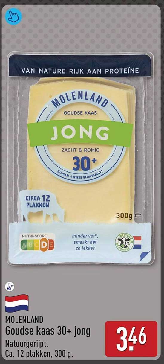 Molenland Goudse kaas 30+ jong