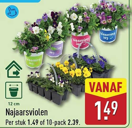 Najaarsviol(en)