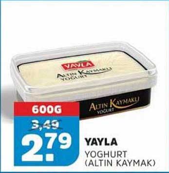 YAYLA YOGHURT (ALTIN KAYMAK)
