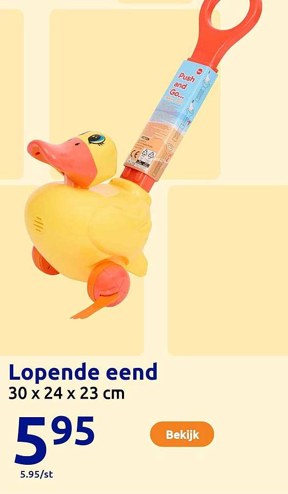 Lopende eend